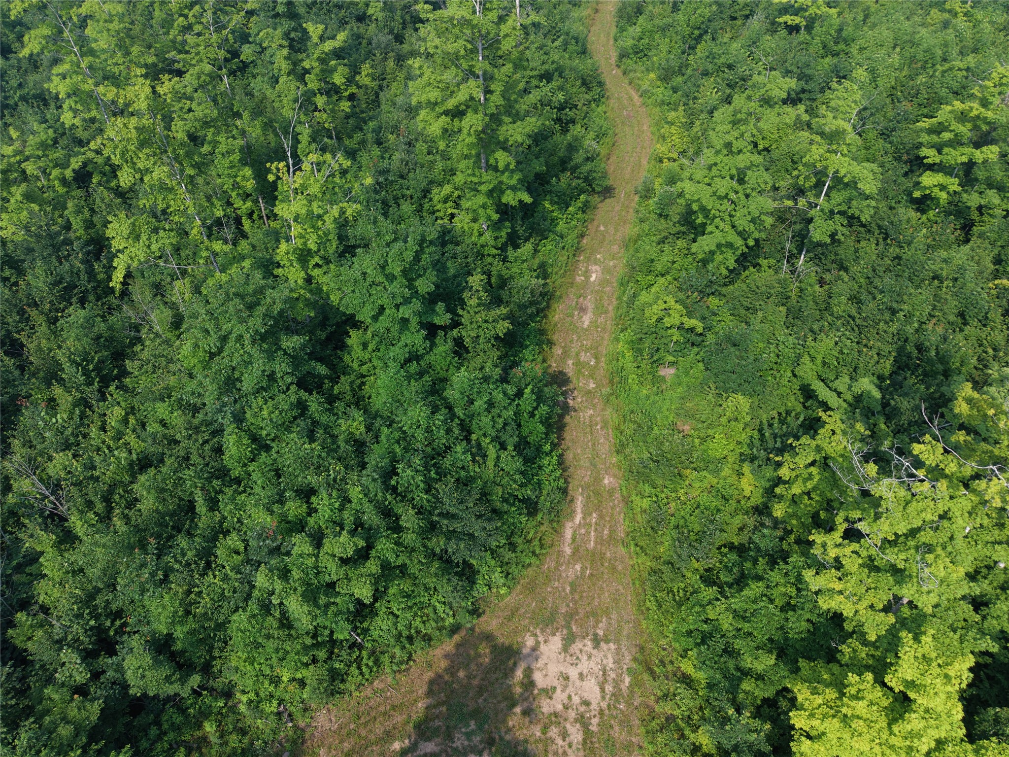 On County Road H Radisson WI 54867 1603350 image22