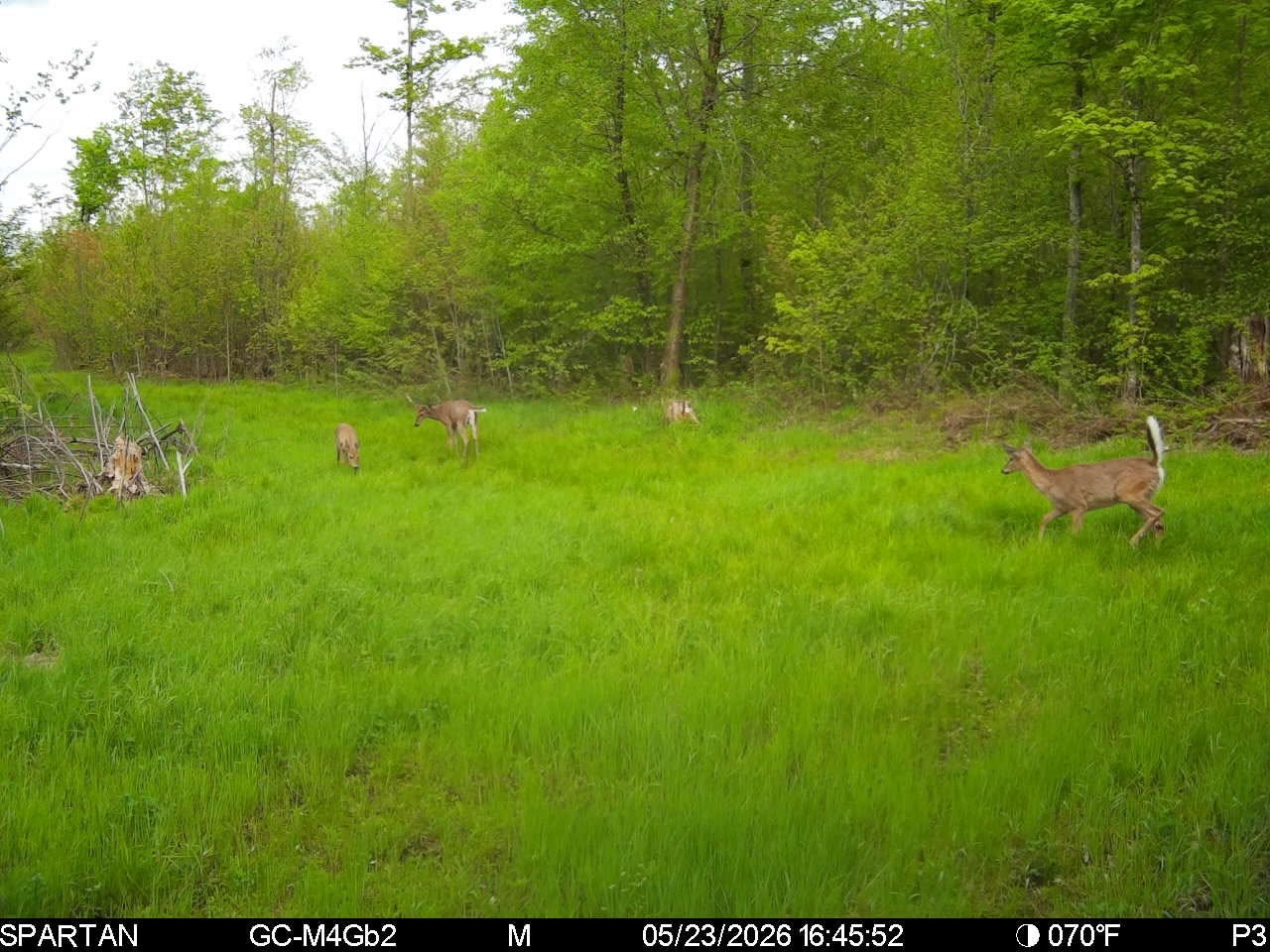 On County Road H Radisson WI 54867 1603350 image23