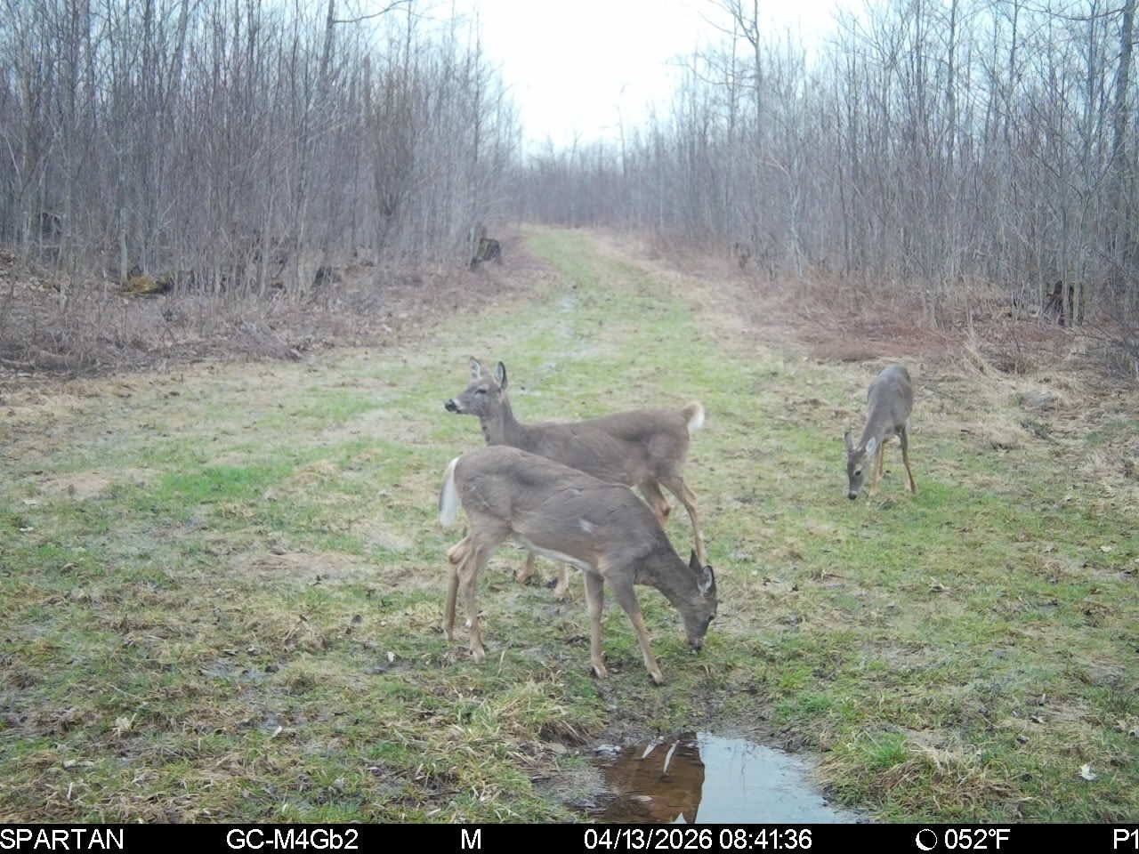 On County Road H Radisson WI 54867 1603350 image24