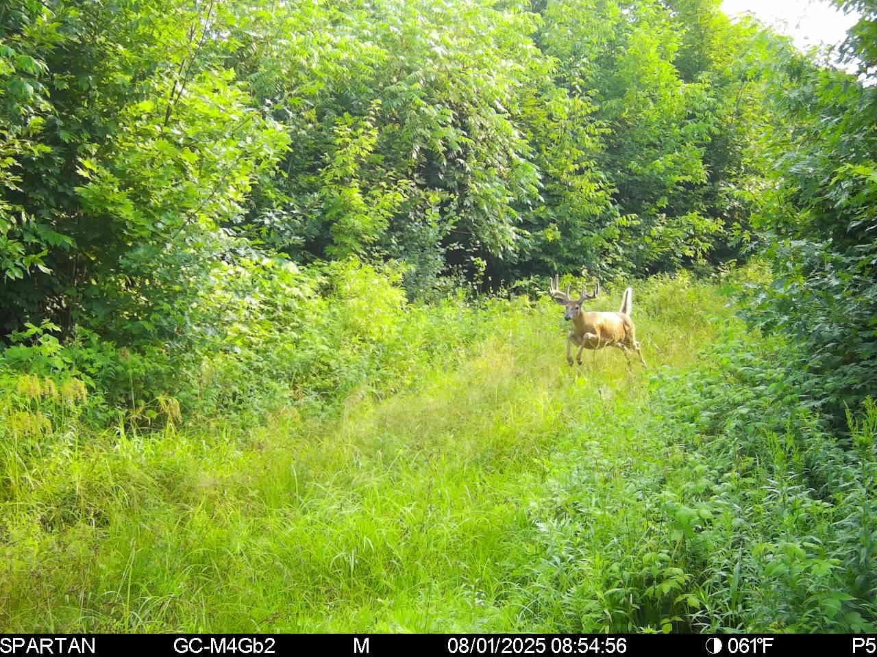 On County Road H Radisson WI 54867 1603350 image25