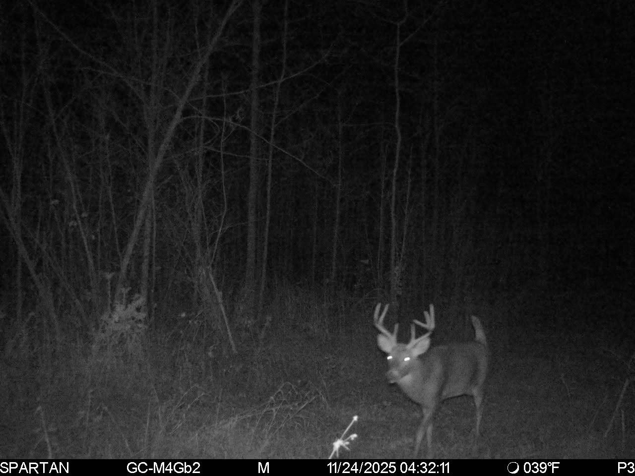 On County Road H Radisson WI 54867 1603350 image26
