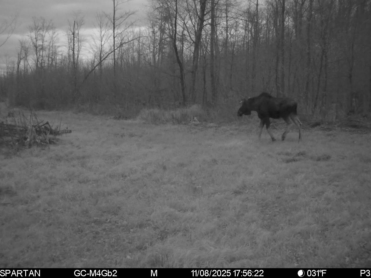 On County Road H Radisson WI 54867 1603350 image27