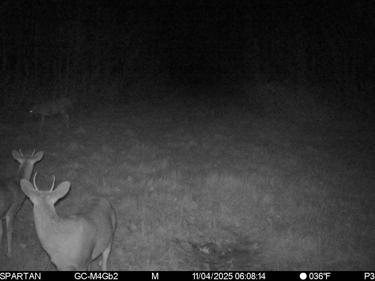 On County Road H Radisson WI 54867 1603350 image28