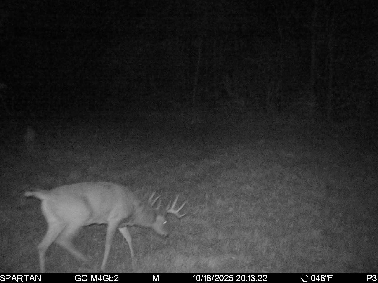 On County Road H Radisson WI 54867 1603350 image30