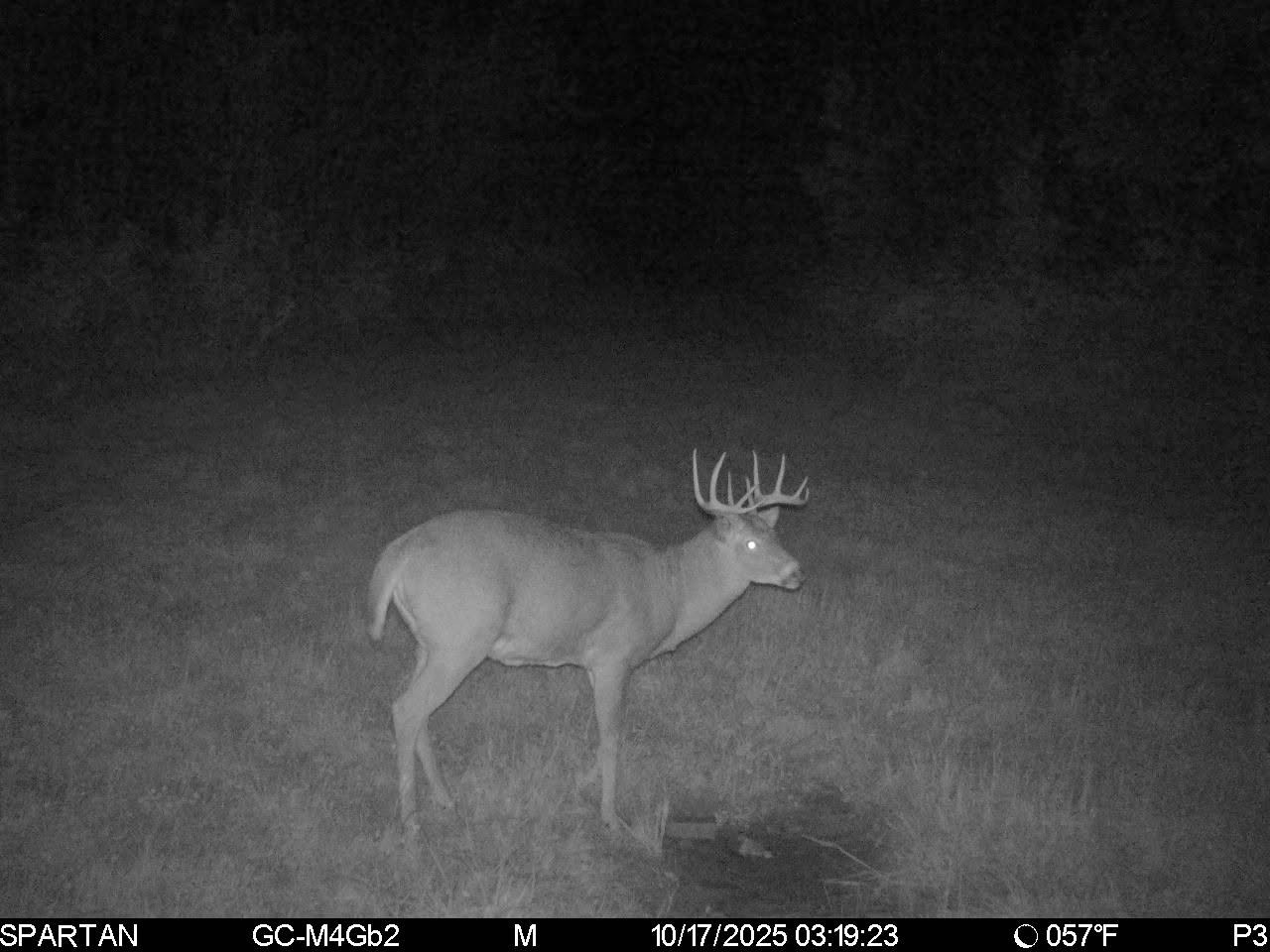 On County Road H Radisson WI 54867 1603350 image31