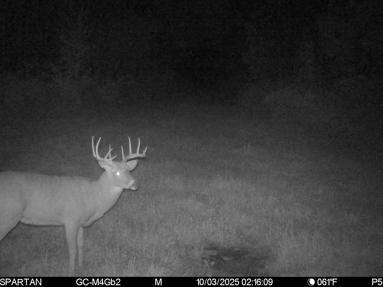 On County Road H Radisson WI 54867 1603350 image32