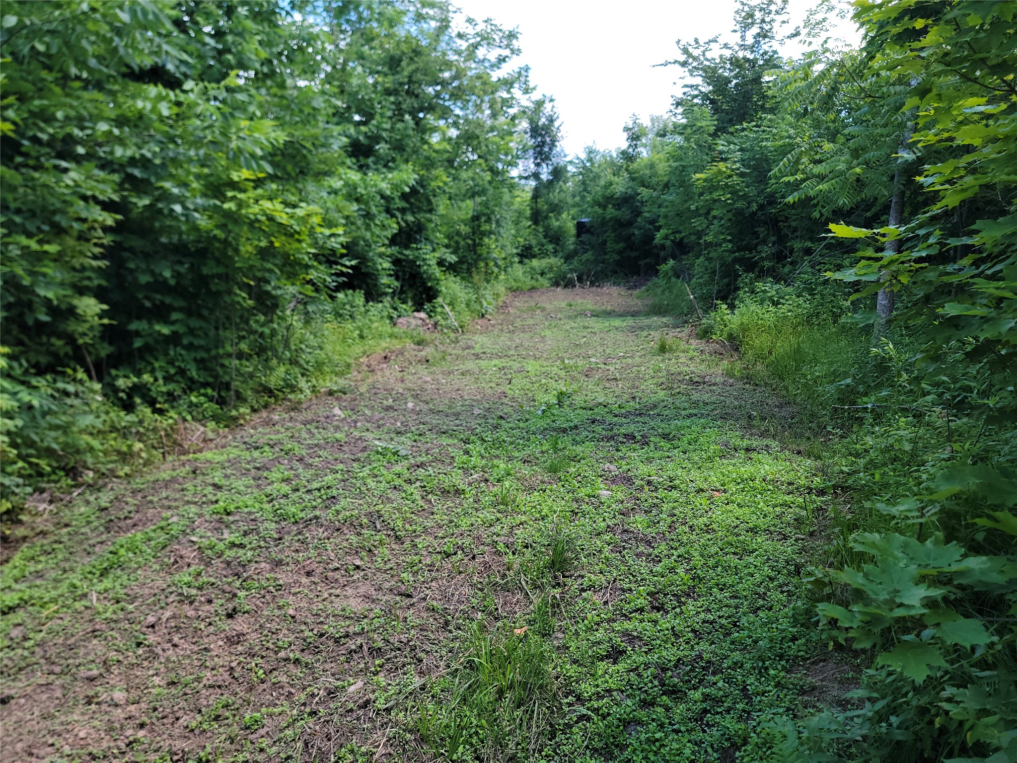 On County Road H Radisson WI 54867 1603350 image4
