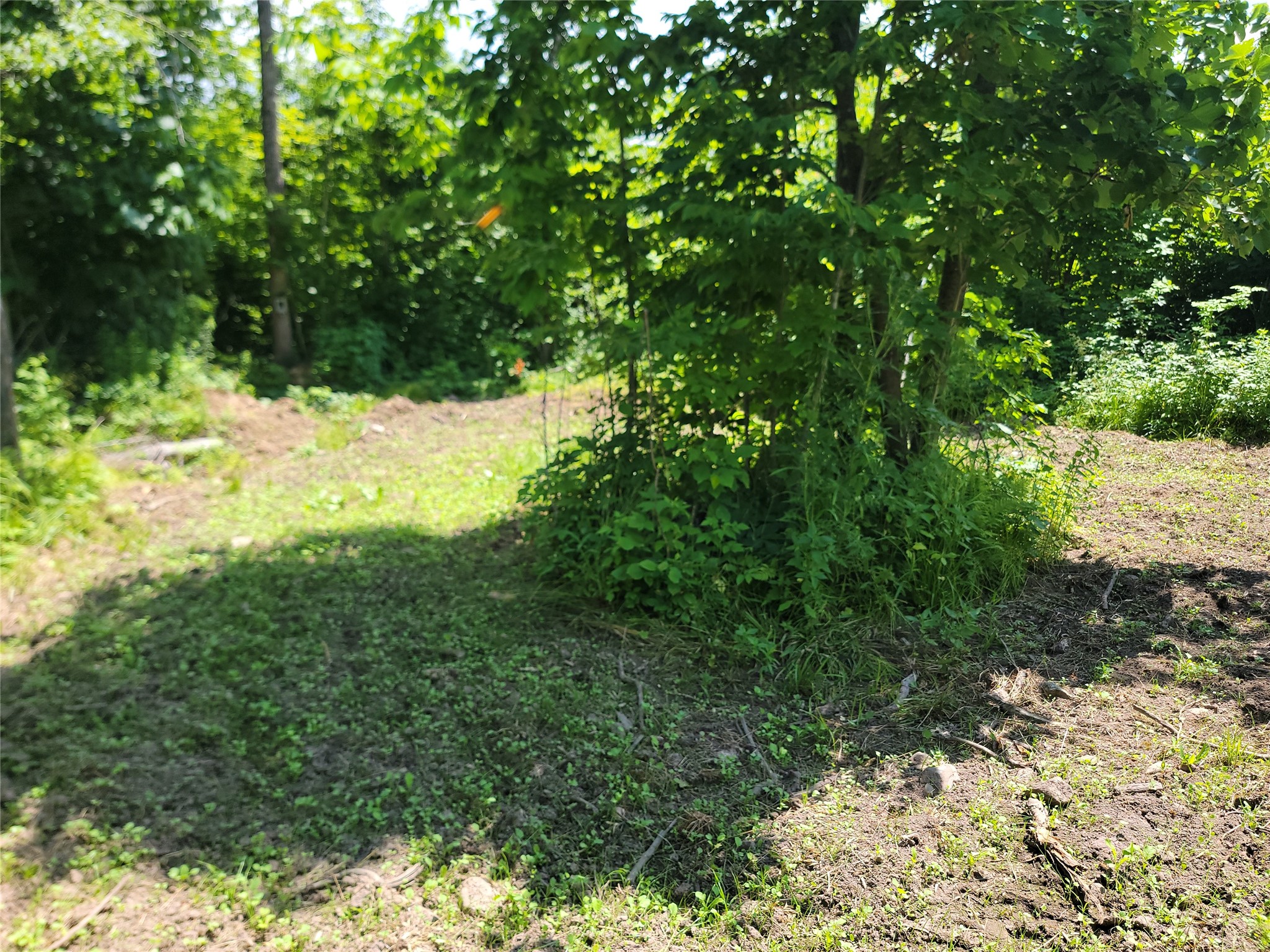 On County Road H Radisson WI 54867 1603350 image6