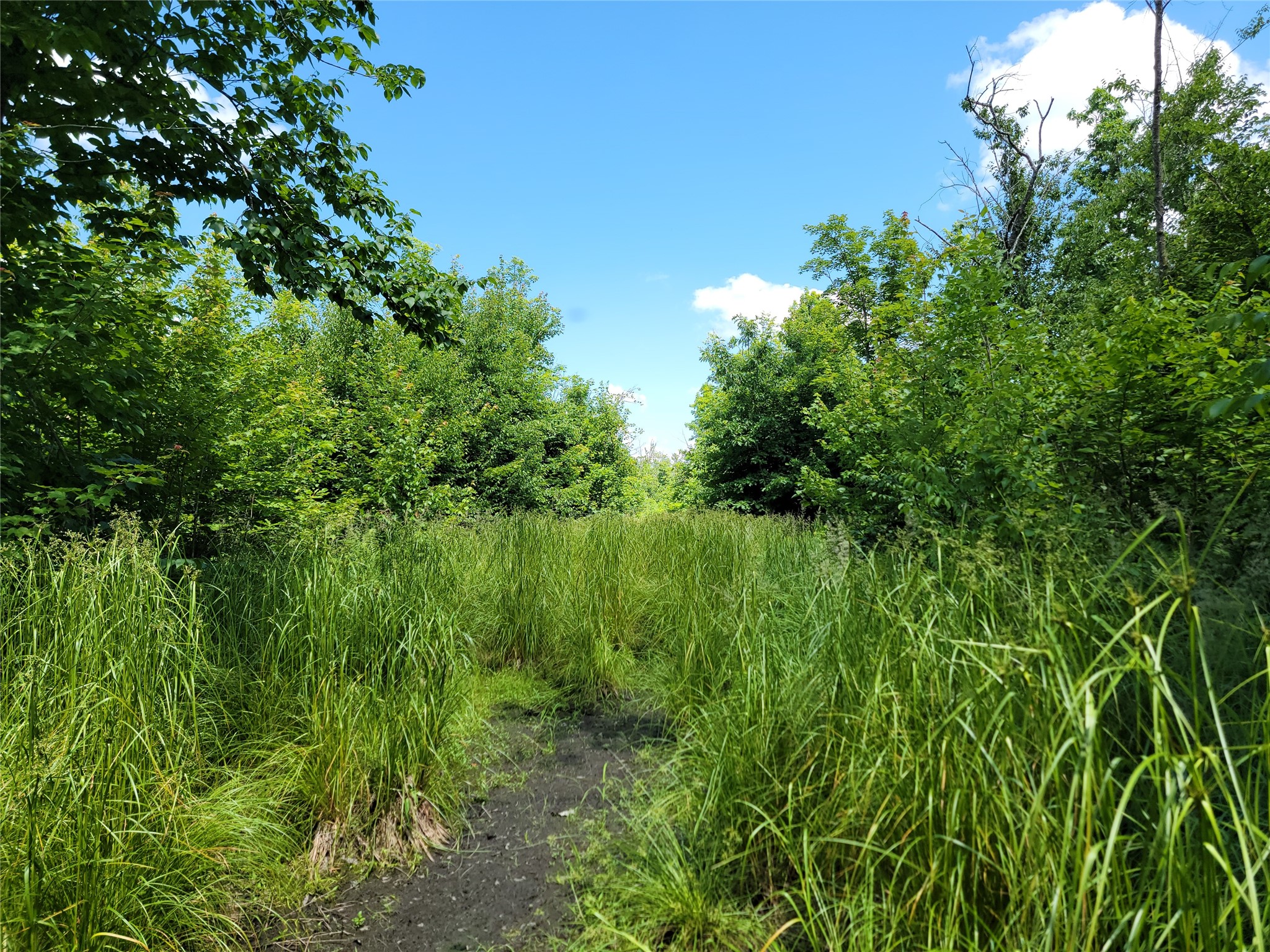 On County Road H Radisson WI 54867 1603350 image9
