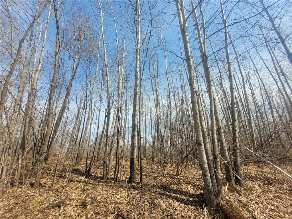 On Dean Road Ladysmith WI 54848 1590552 image2