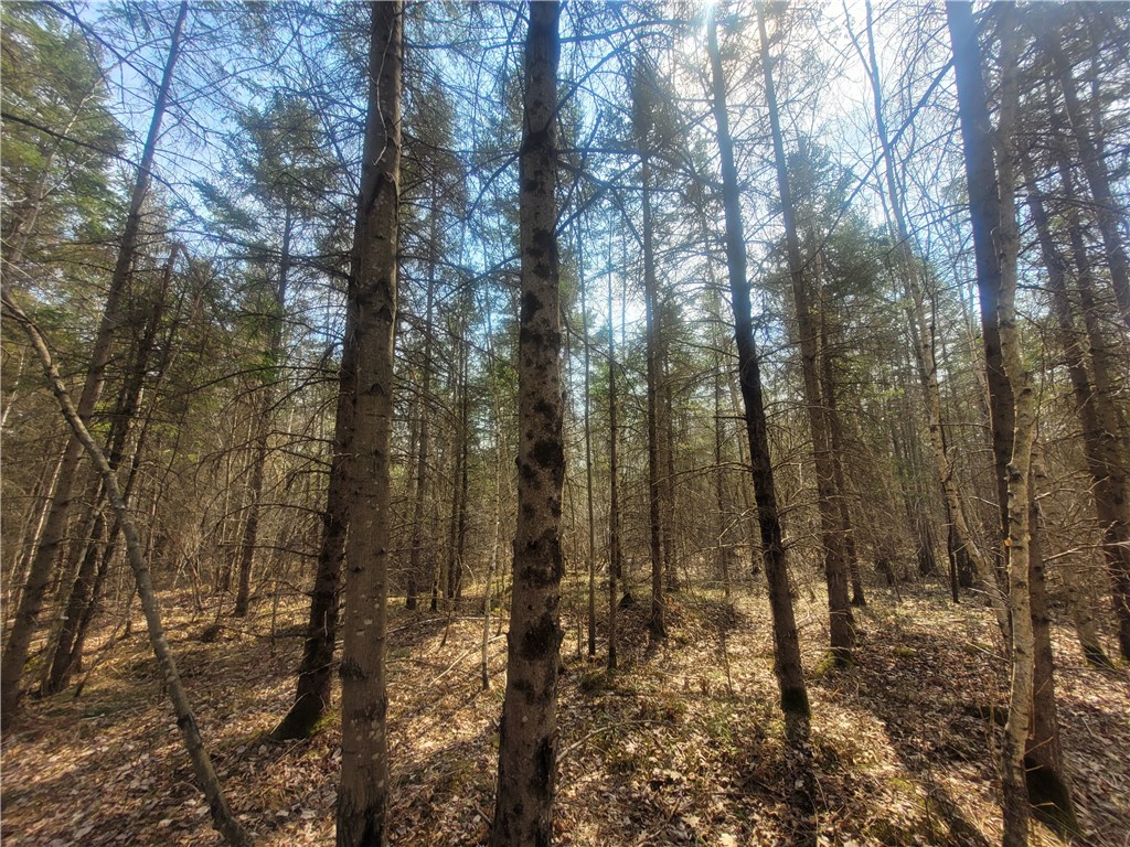 On Dean Road Ladysmith WI 54848 1590552 image3