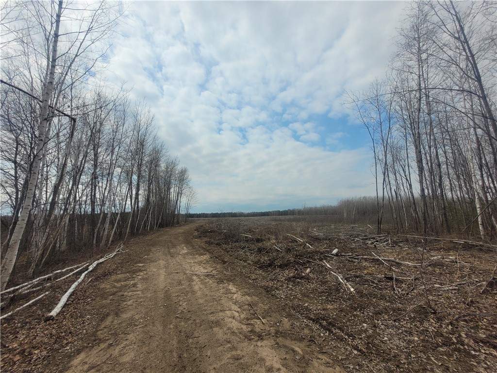 On Dean Road Ladysmith WI 54848 1590552 image6