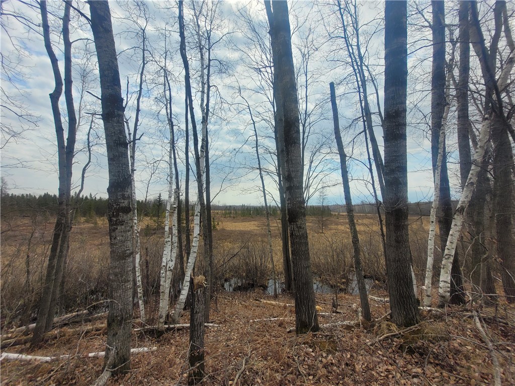 On Dean Road Ladysmith WI 54848 1590552 image7