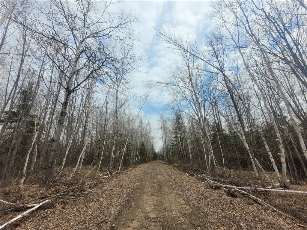 On Dean Road Ladysmith WI 54848 1590552 image8