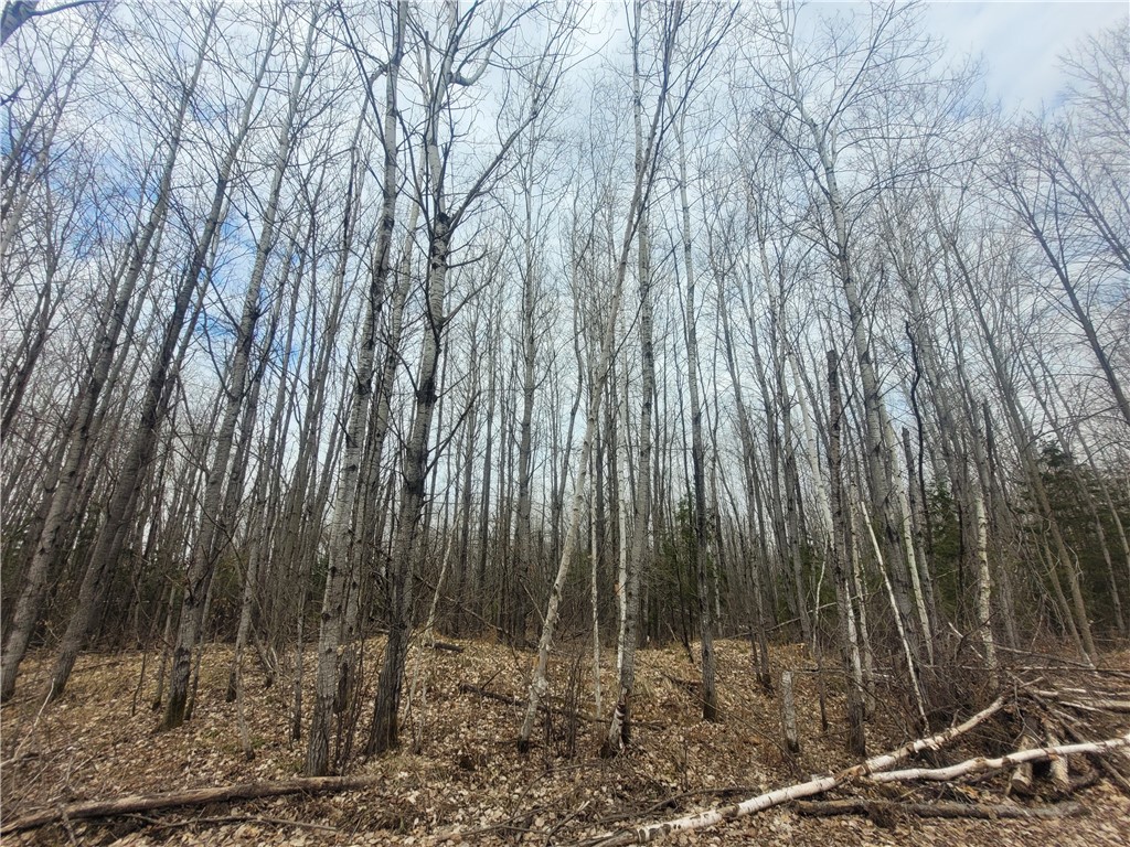 On Dean Road Ladysmith WI 54848 1590552 image9