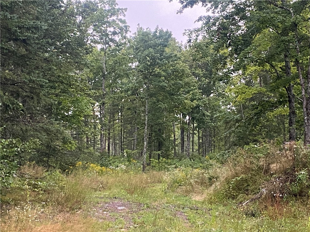 On Doland Road Loretta WI 54896 1584917 image2