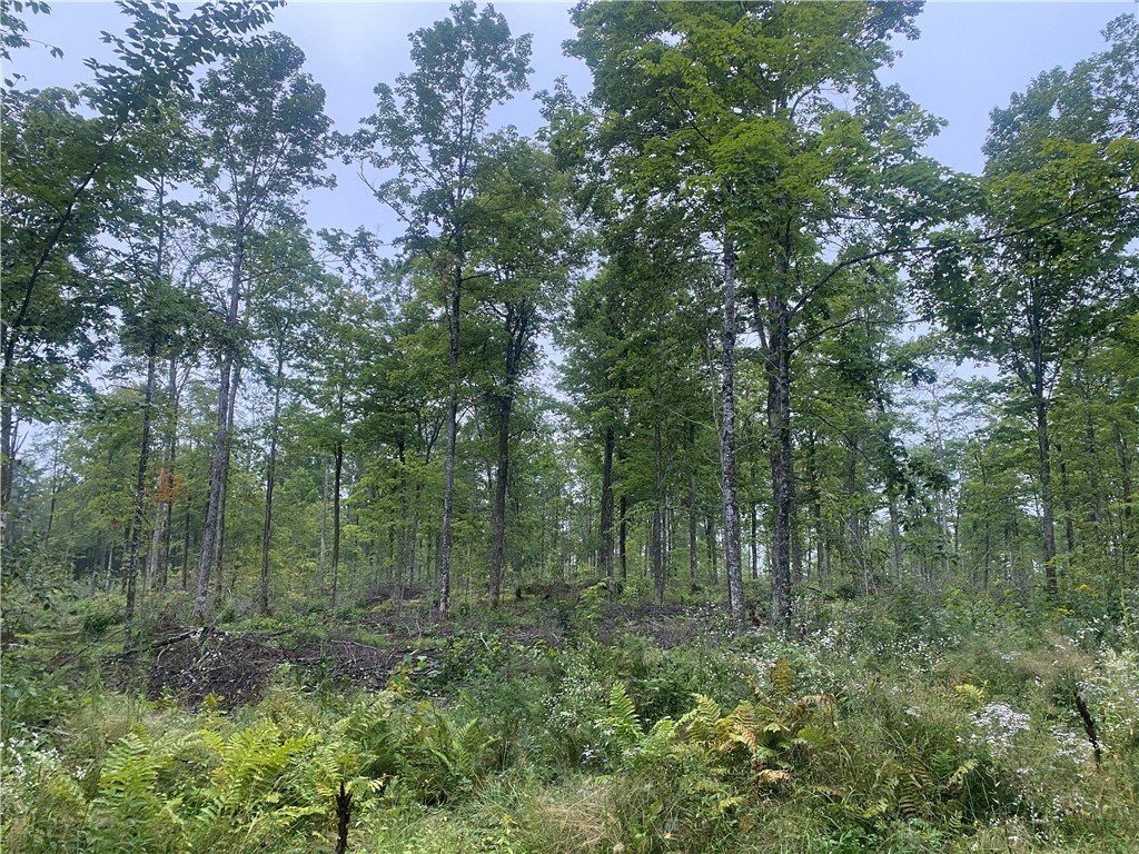 On Doland Road Loretta WI 54896 1584917 image4