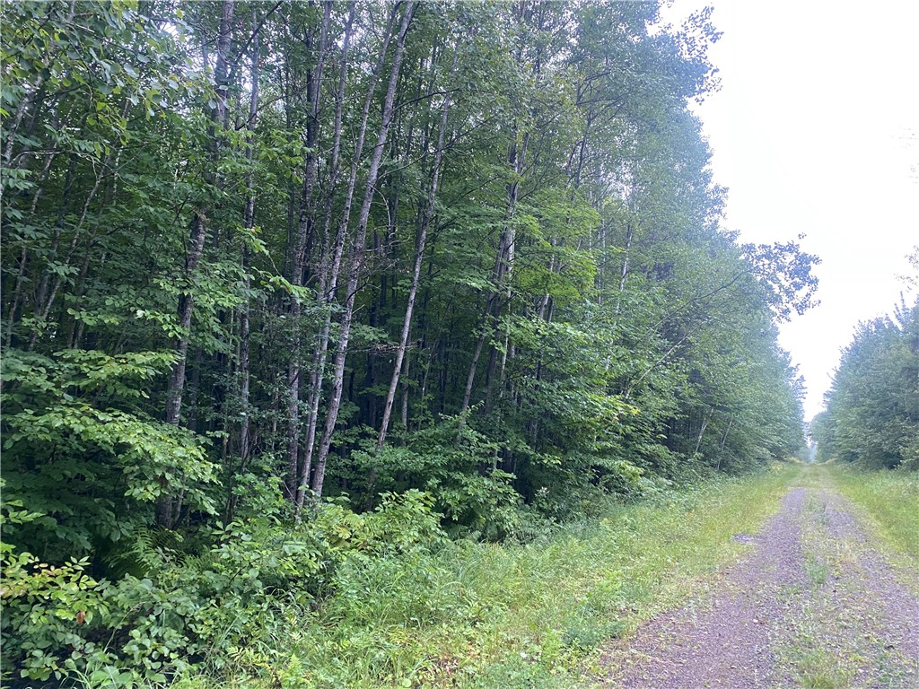 On Doland Road Loretta WI 54896 1584917 image6