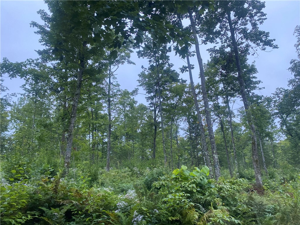 On Doland Road Loretta WI 54896 1584917 image7