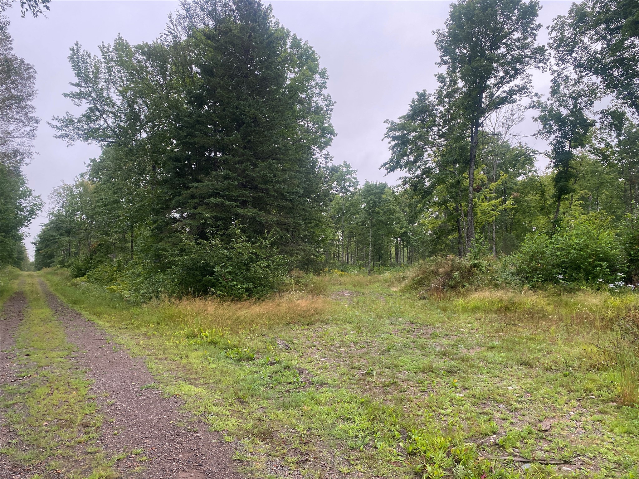 On Doland Road Loretta WI 54896 1599134 image1
