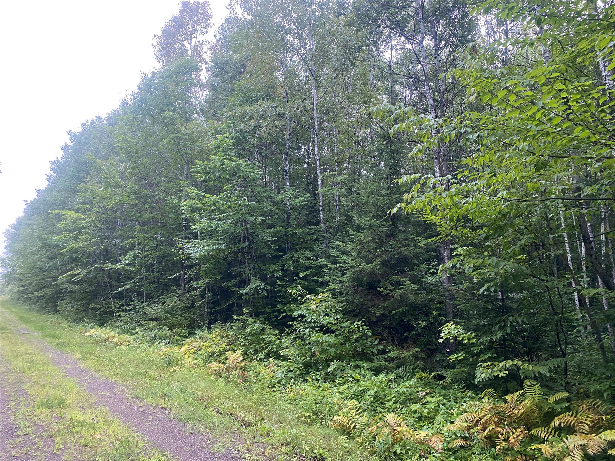 On Doland Road Loretta WI 54896 1599134 image3