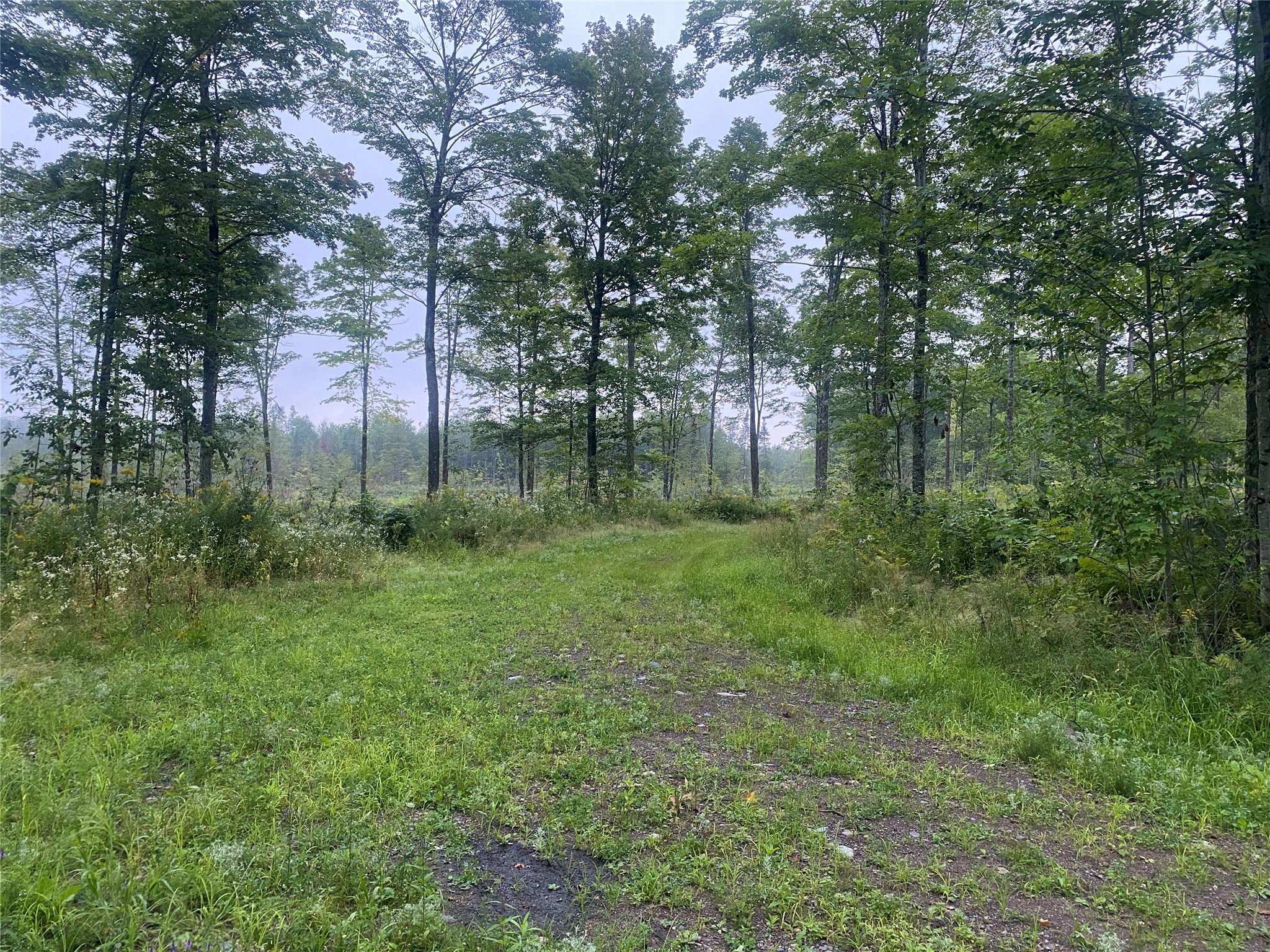 On Doland Road Loretta WI 54896 1599134 image5