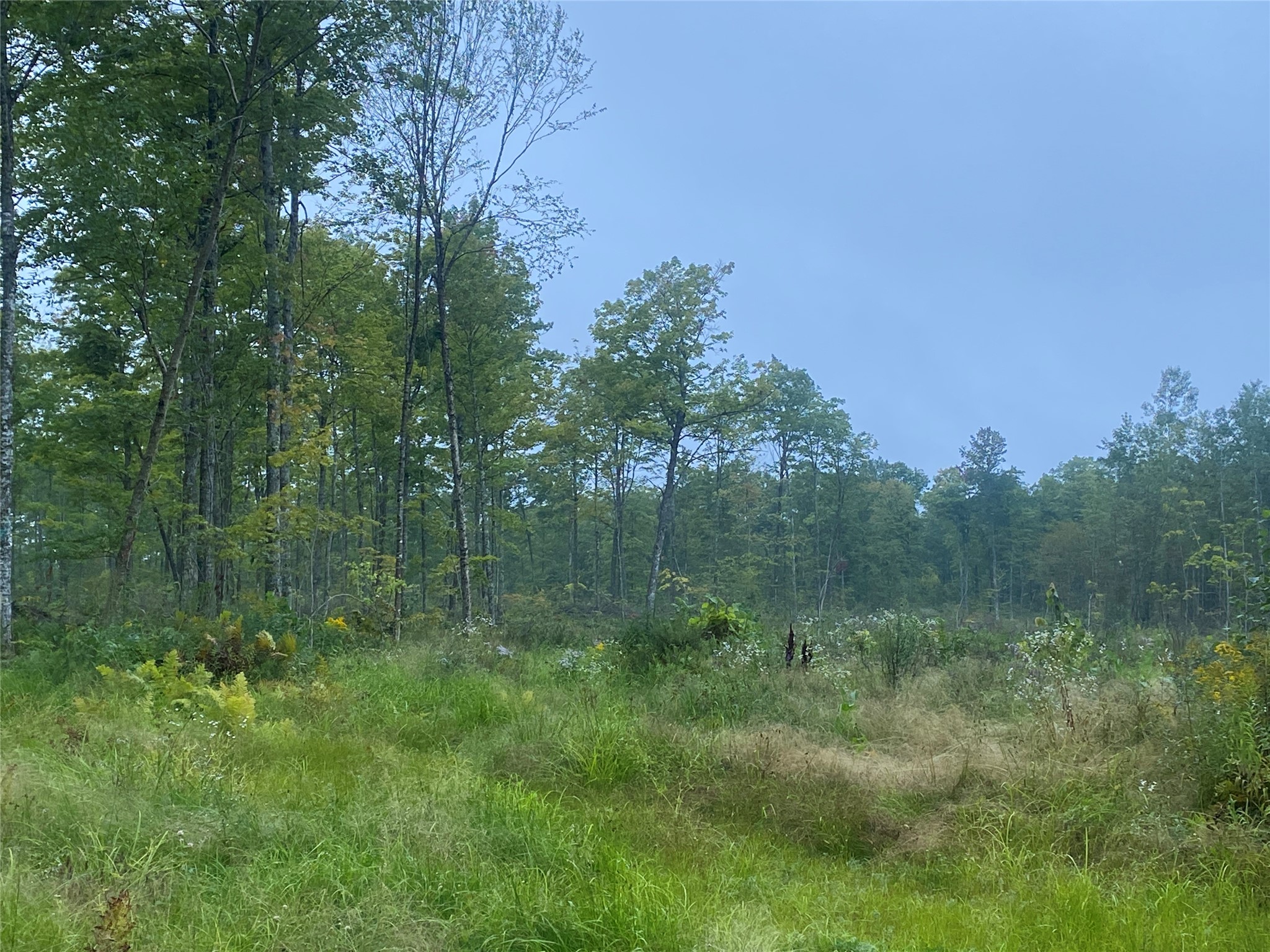 On Doland Road Loretta WI 54896 1599134 image8