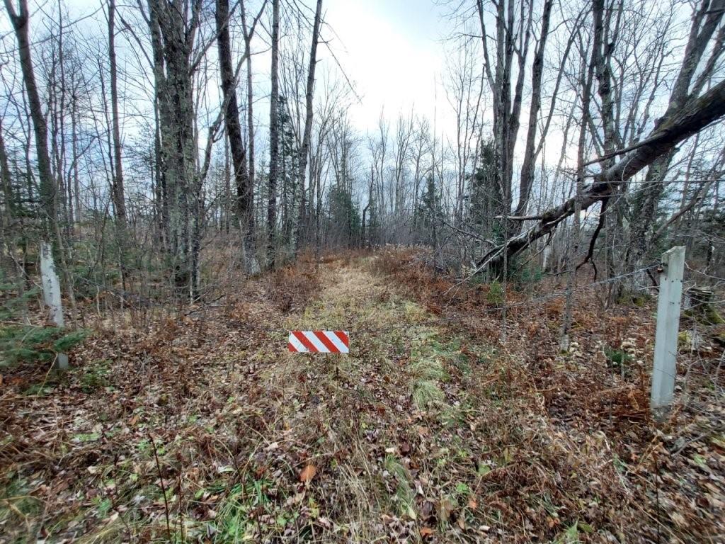 On Doland Road Winter WI 54896 1587299 image1