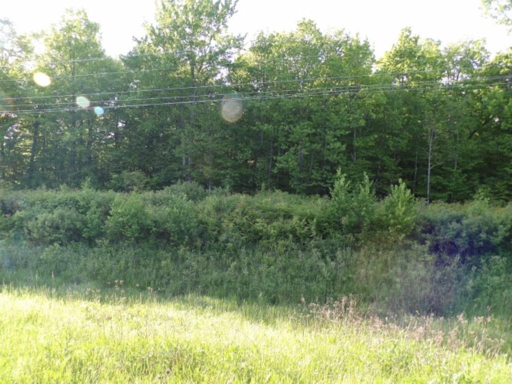 On Dorscheid Road Winter WI 54862 1582648 image1