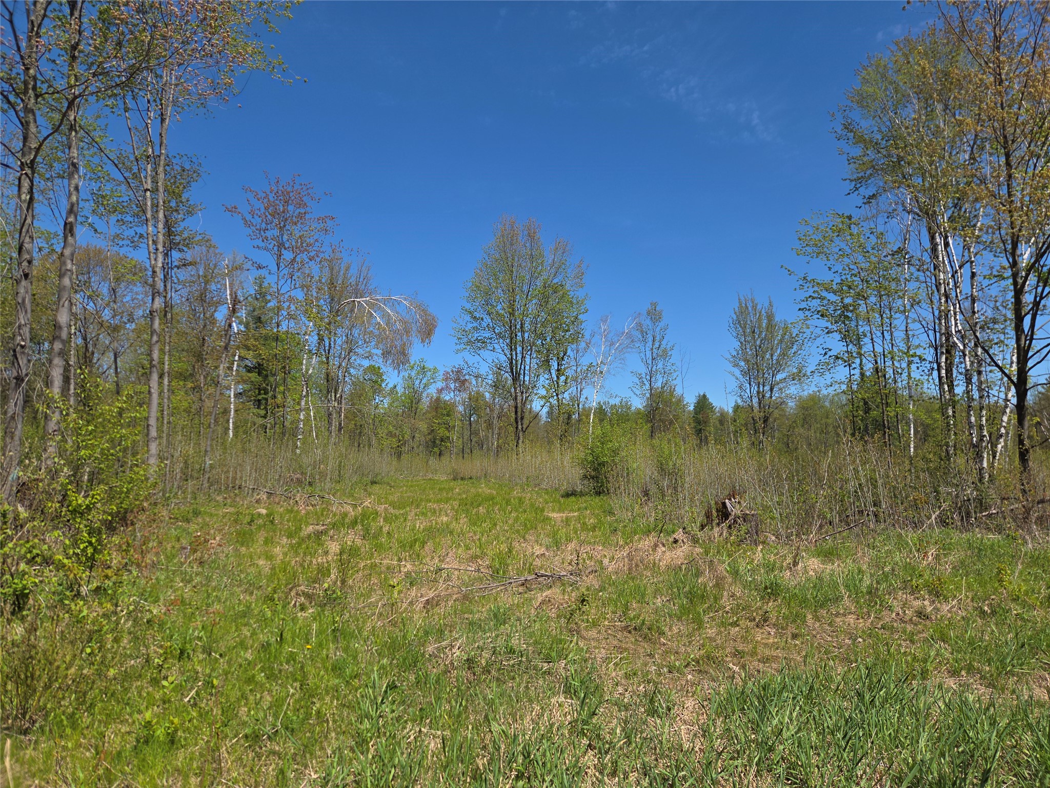 On E Central Avenue Brantwood WI 54513 1601548 image1