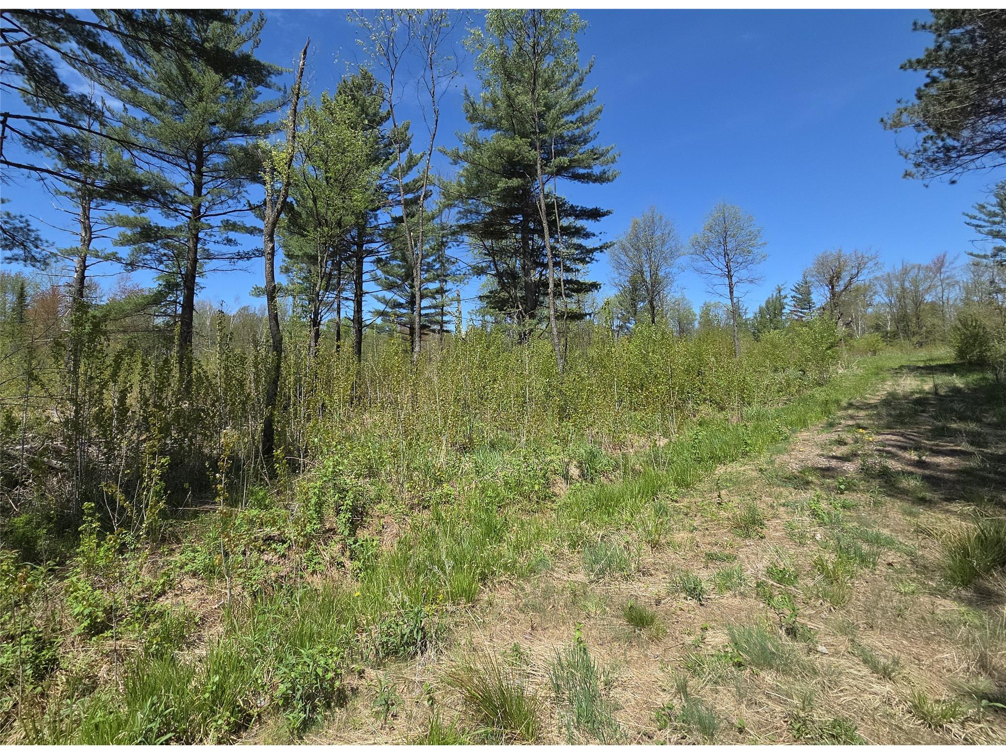 On E Central Avenue Brantwood WI 54513 1601548 image3