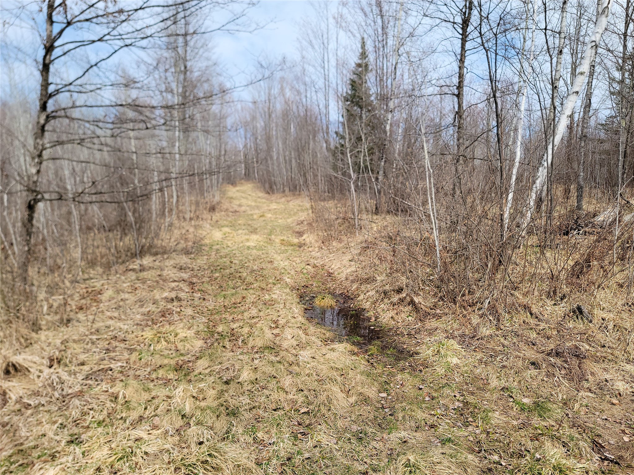 On Elderwood Road Phillips WI 54555 1601469 image10