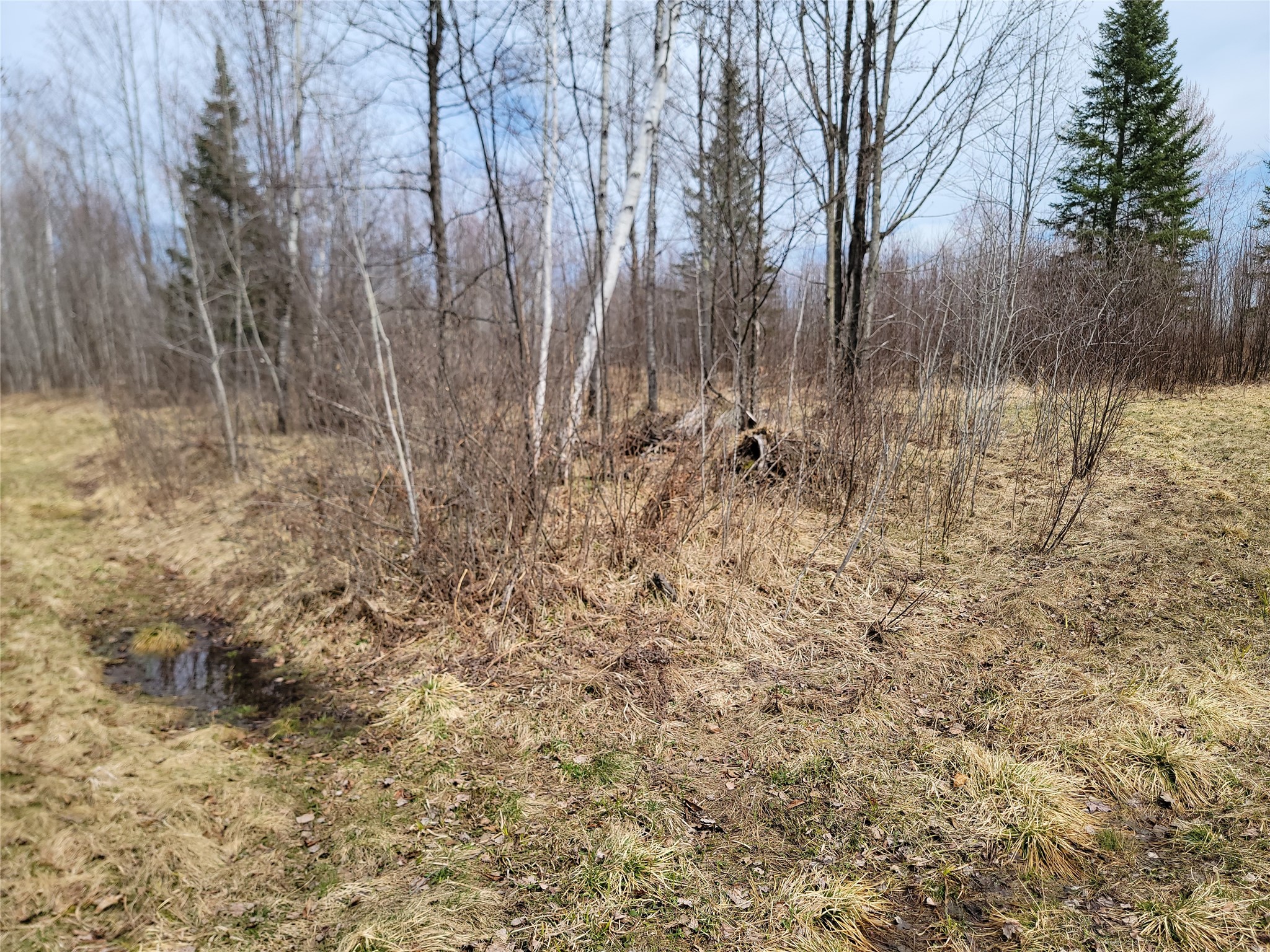 On Elderwood Road Phillips WI 54555 1601469 image11