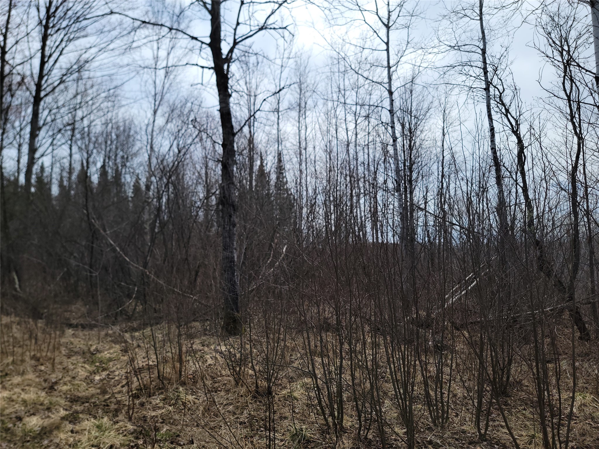On Elderwood Road Phillips WI 54555 1601469 image12