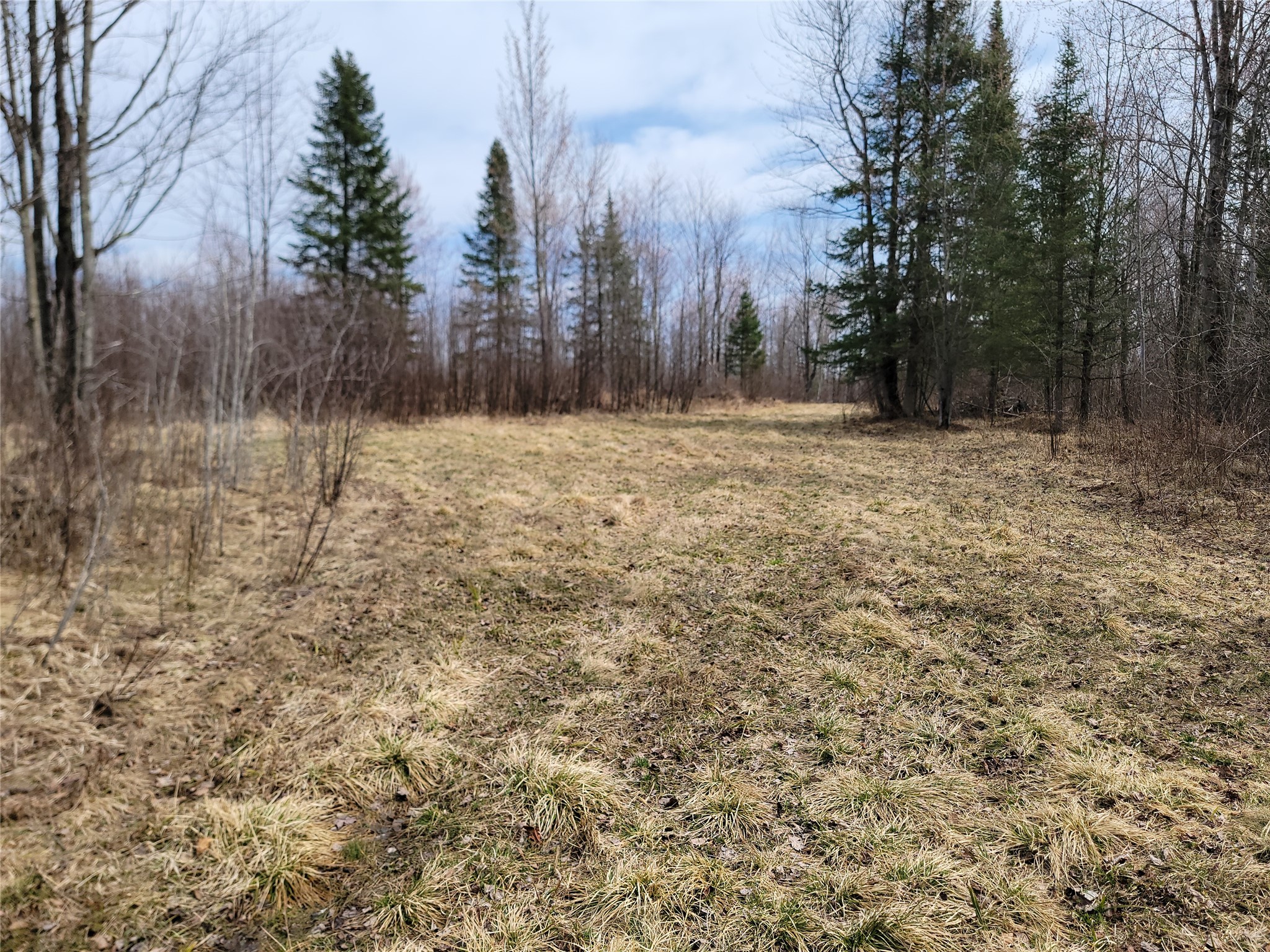 On Elderwood Road Phillips WI 54555 1601469 image13