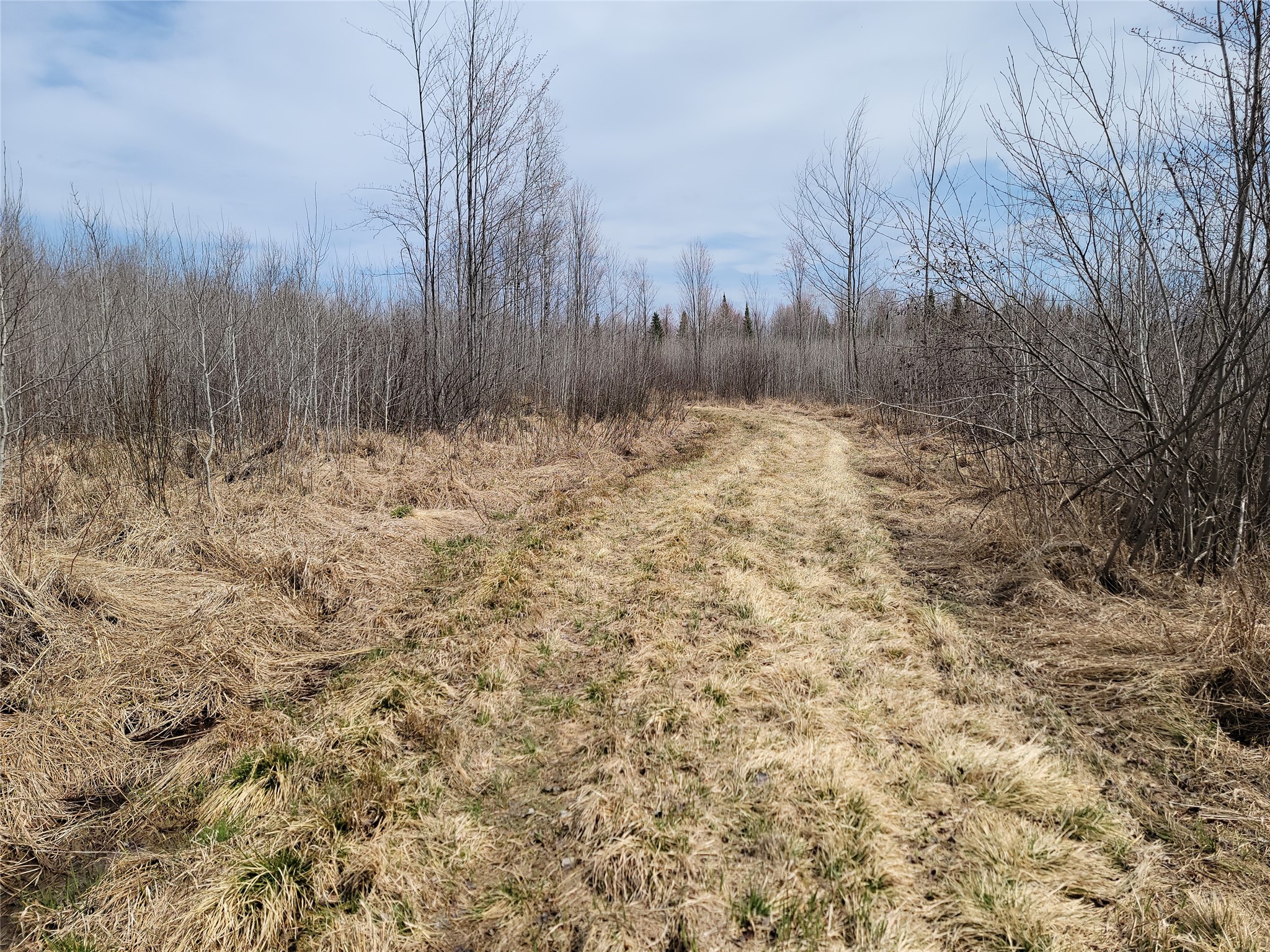 On Elderwood Road Phillips WI 54555 1601469 image2