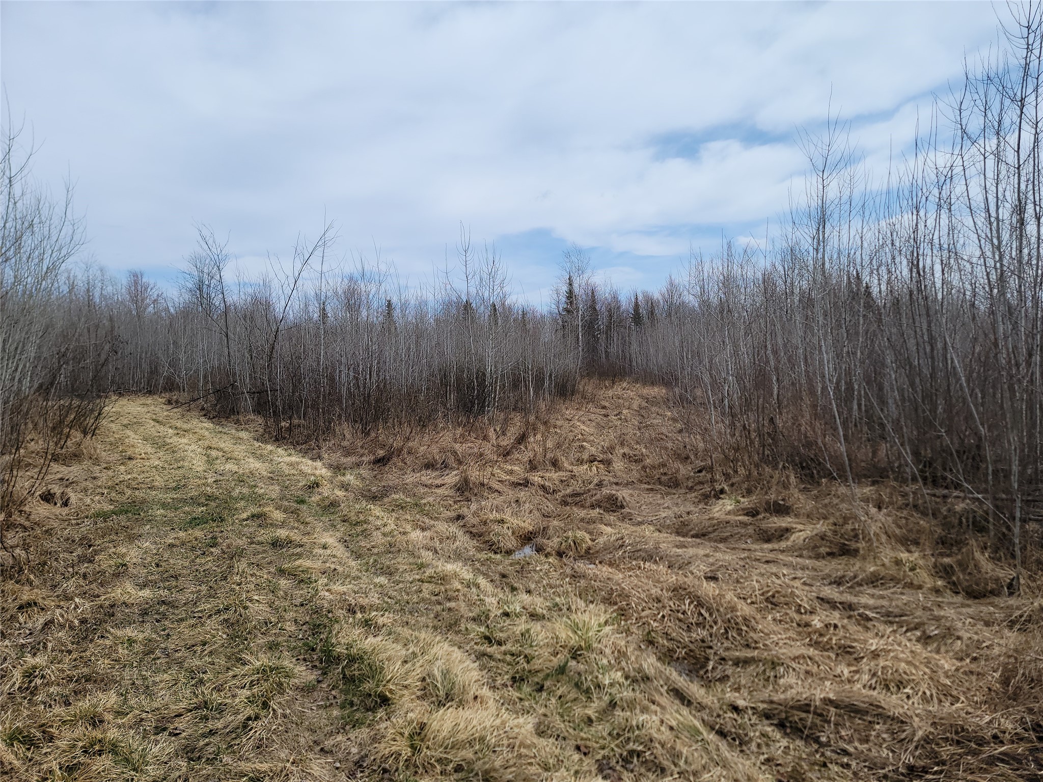 On Elderwood Road Phillips WI 54555 1601469 image3