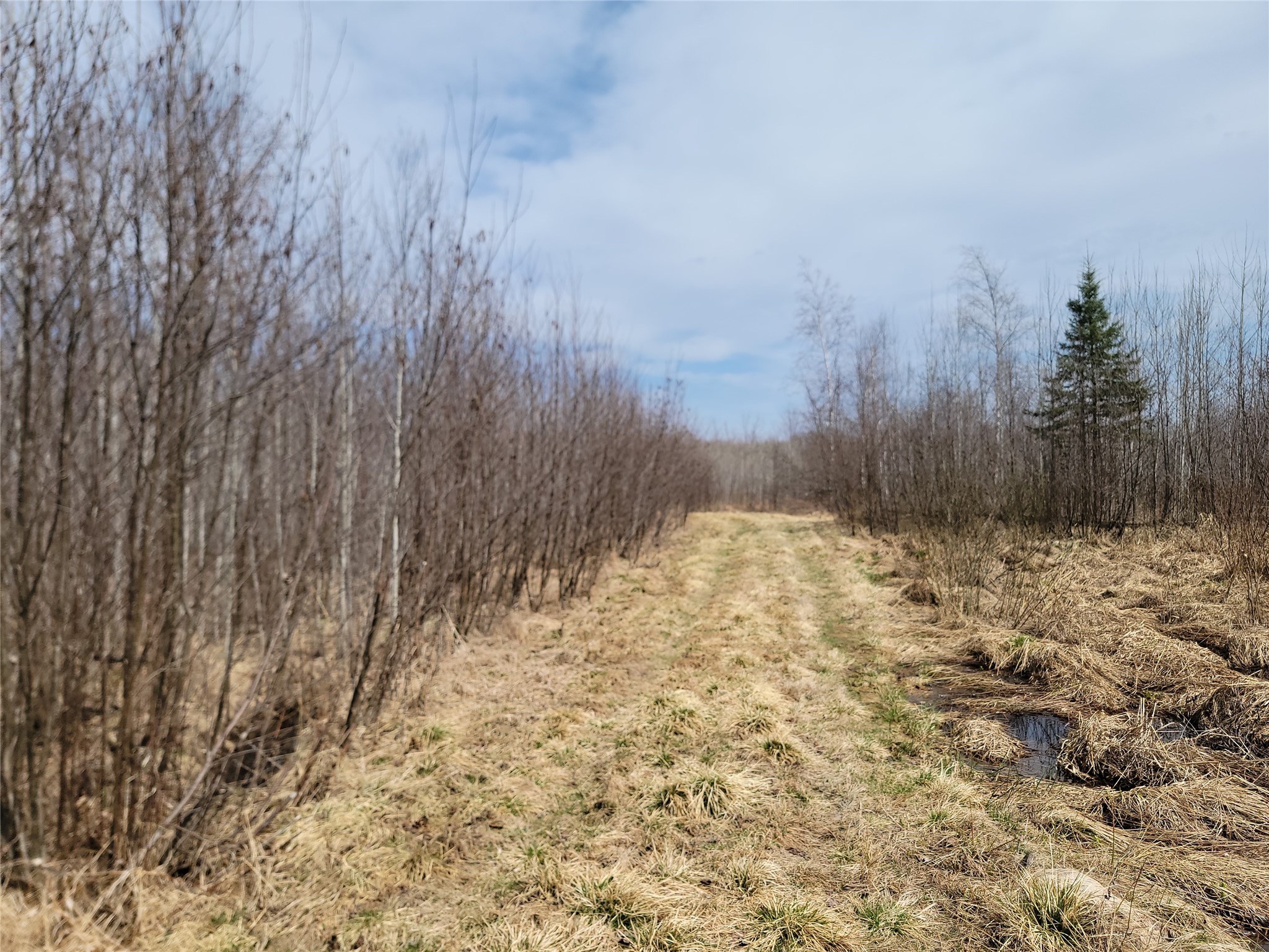On Elderwood Road Phillips WI 54555 1601469 image4