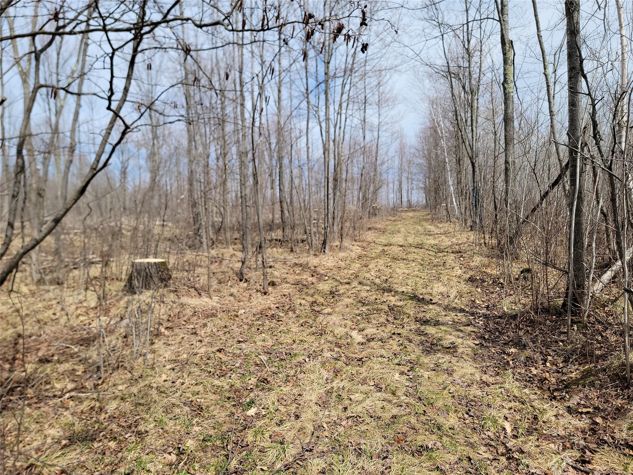 On Elderwood Road Phillips WI 54555 1601469 image5