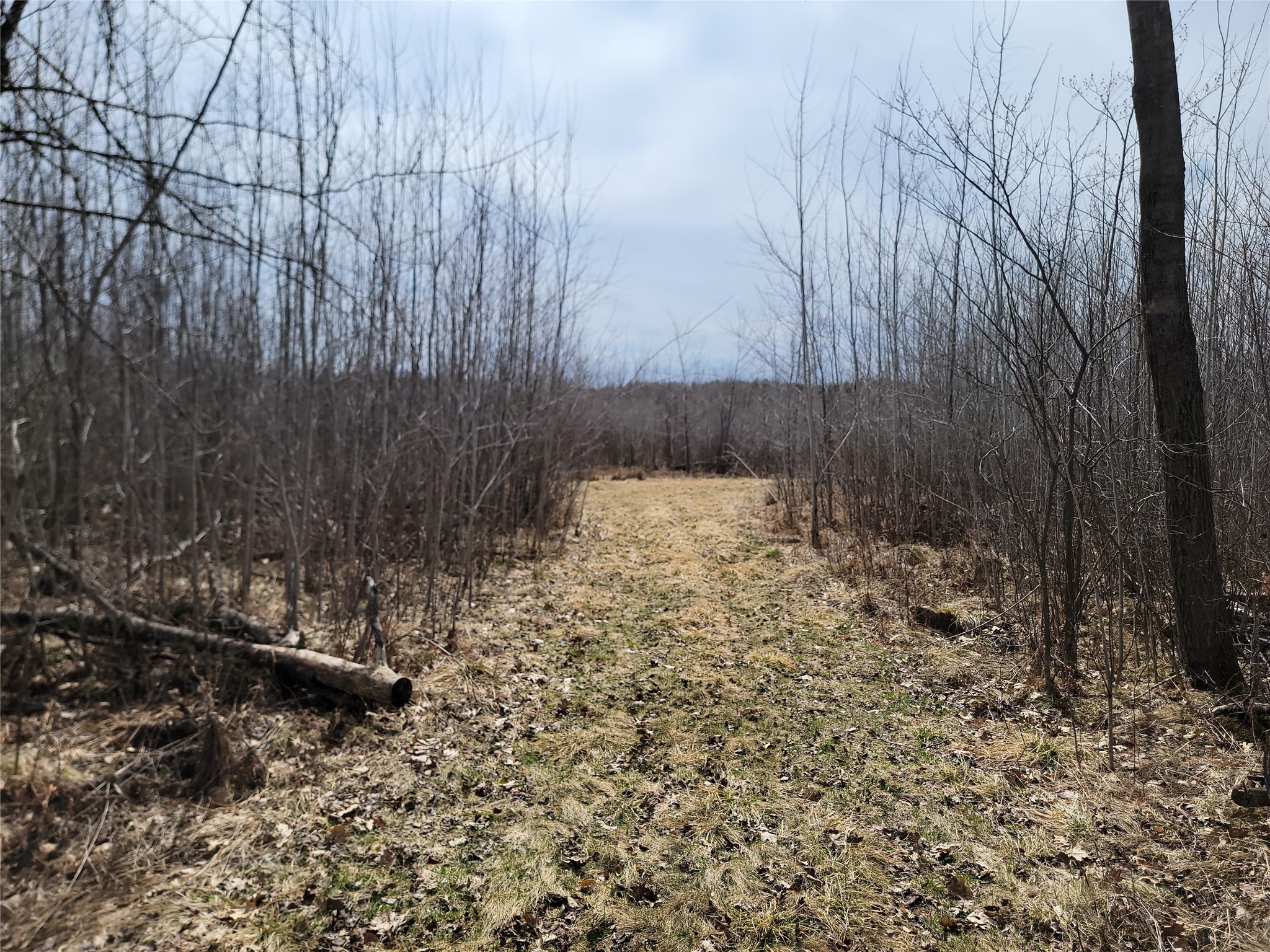 On Elderwood Road Phillips WI 54555 1601469 image6