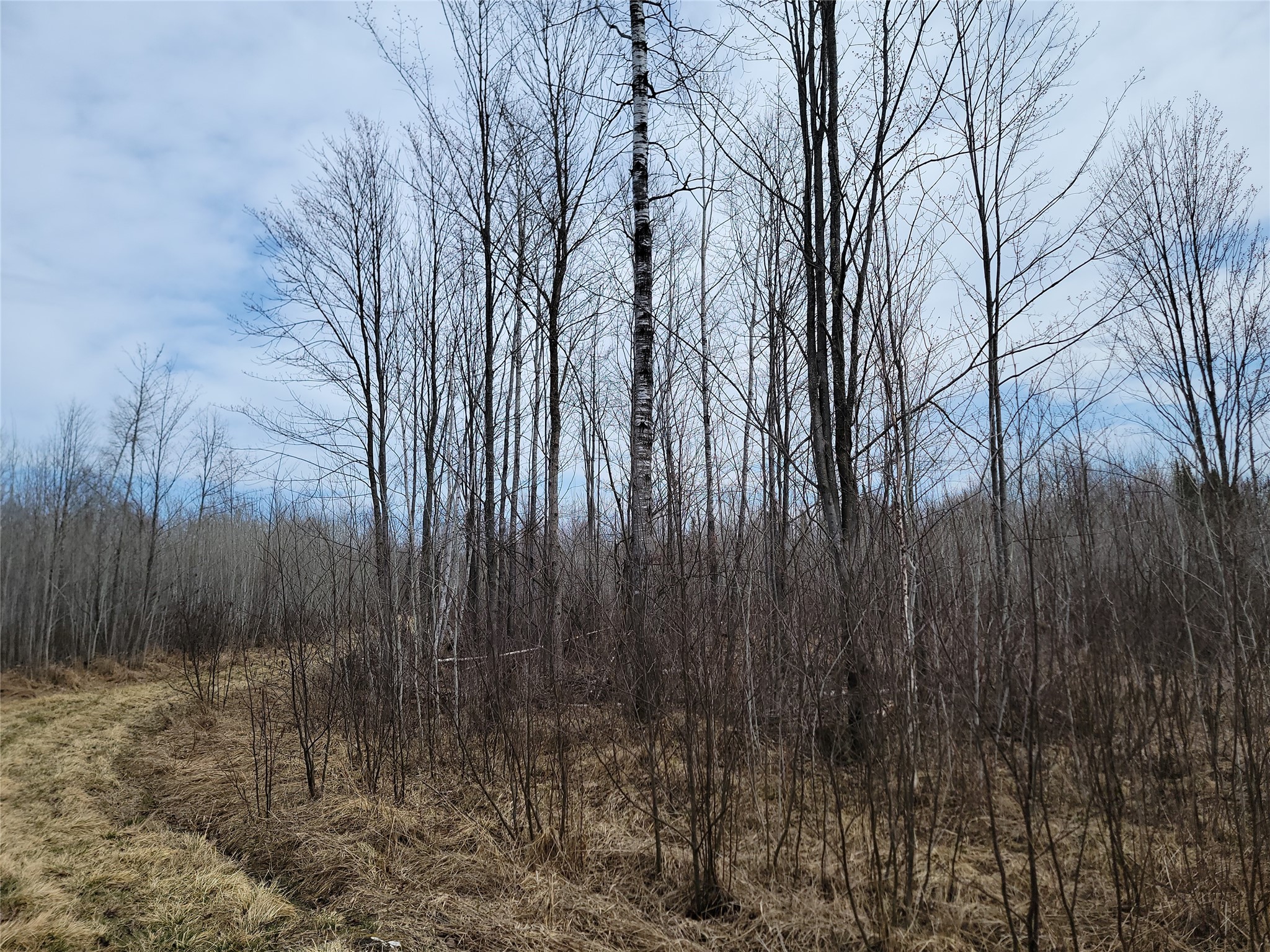 On Elderwood Road Phillips WI 54555 1601469 image7