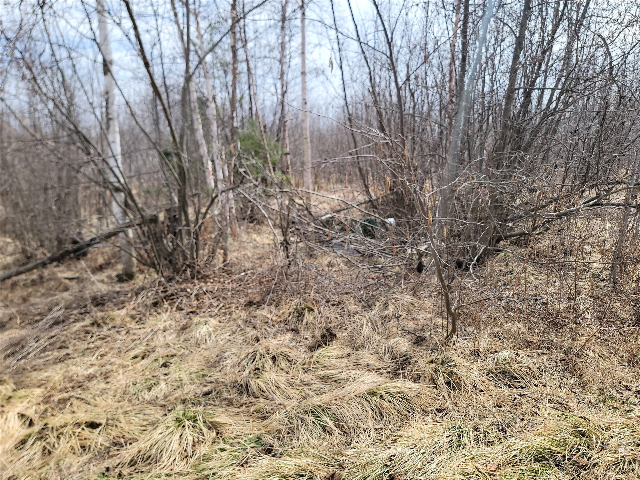 On Elderwood Road Phillips WI 54555 1601469 image8