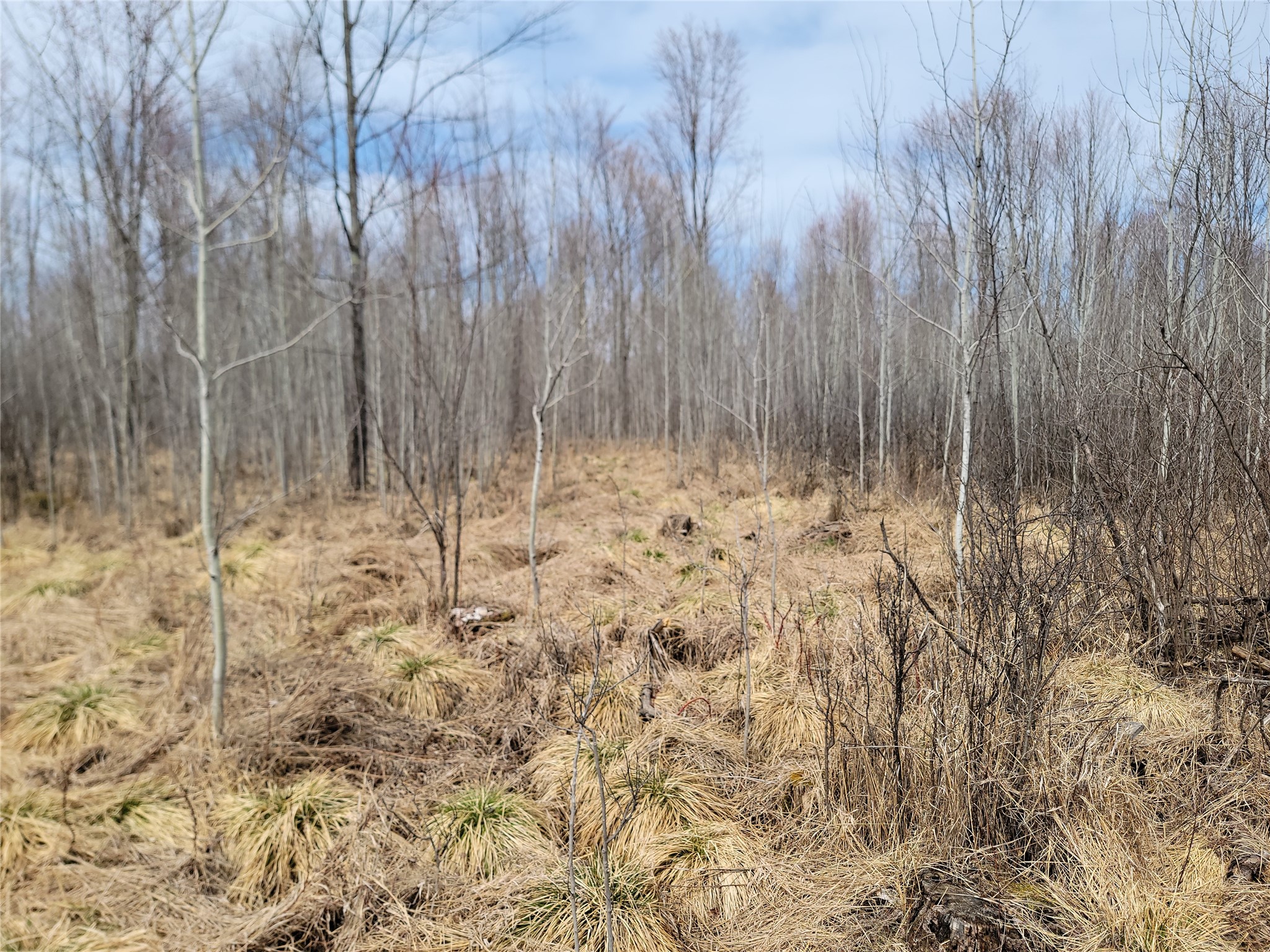 On Elderwood Road Phillips WI 54555 1601469 image9
