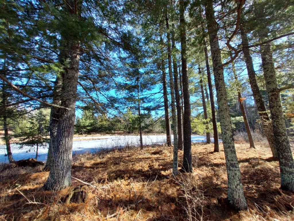 On Everson Road Winter WI 54896 1580088 image2