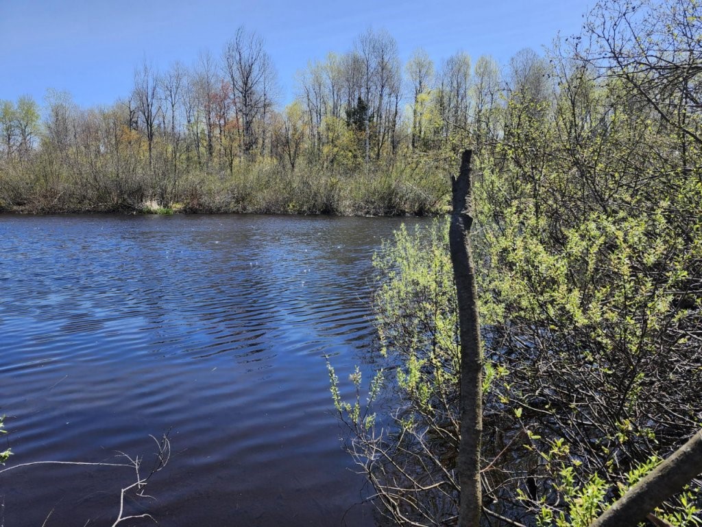 On Highway 70 Winter WI 54896 - Brunet River 1591051 image1