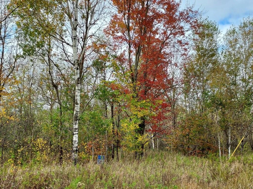 On Hwy 111, Catawba, WI 54515 MLS 1558975 Edina Realty