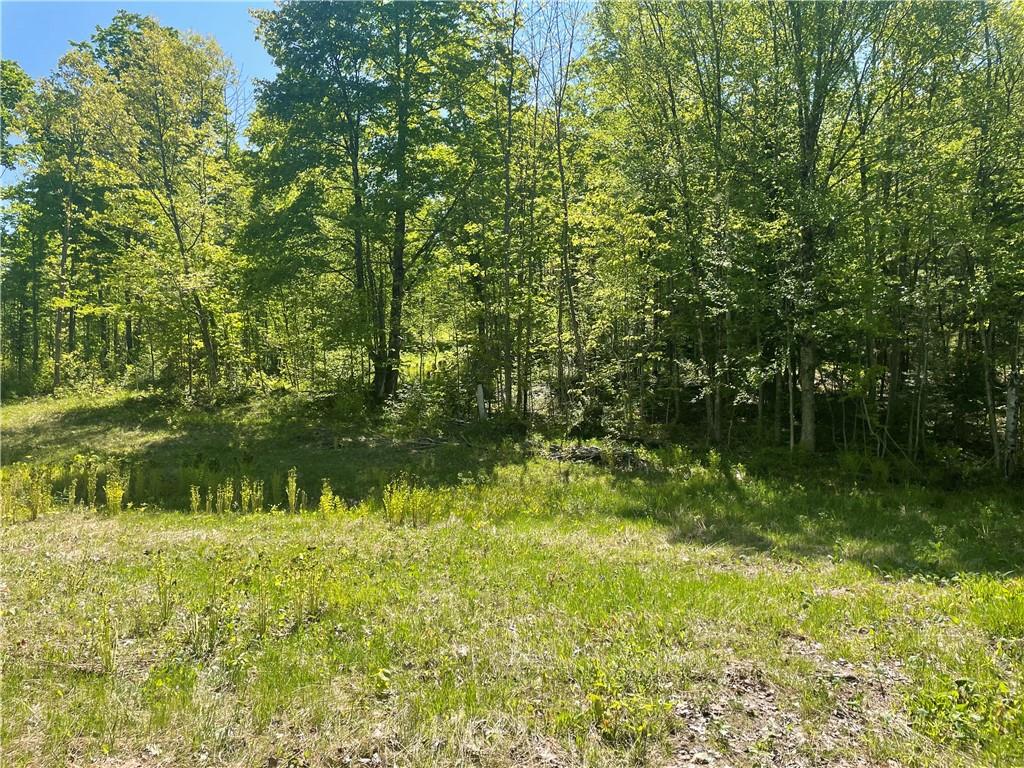 On Hwy 13 Mellen WI 54546 1573769 image1