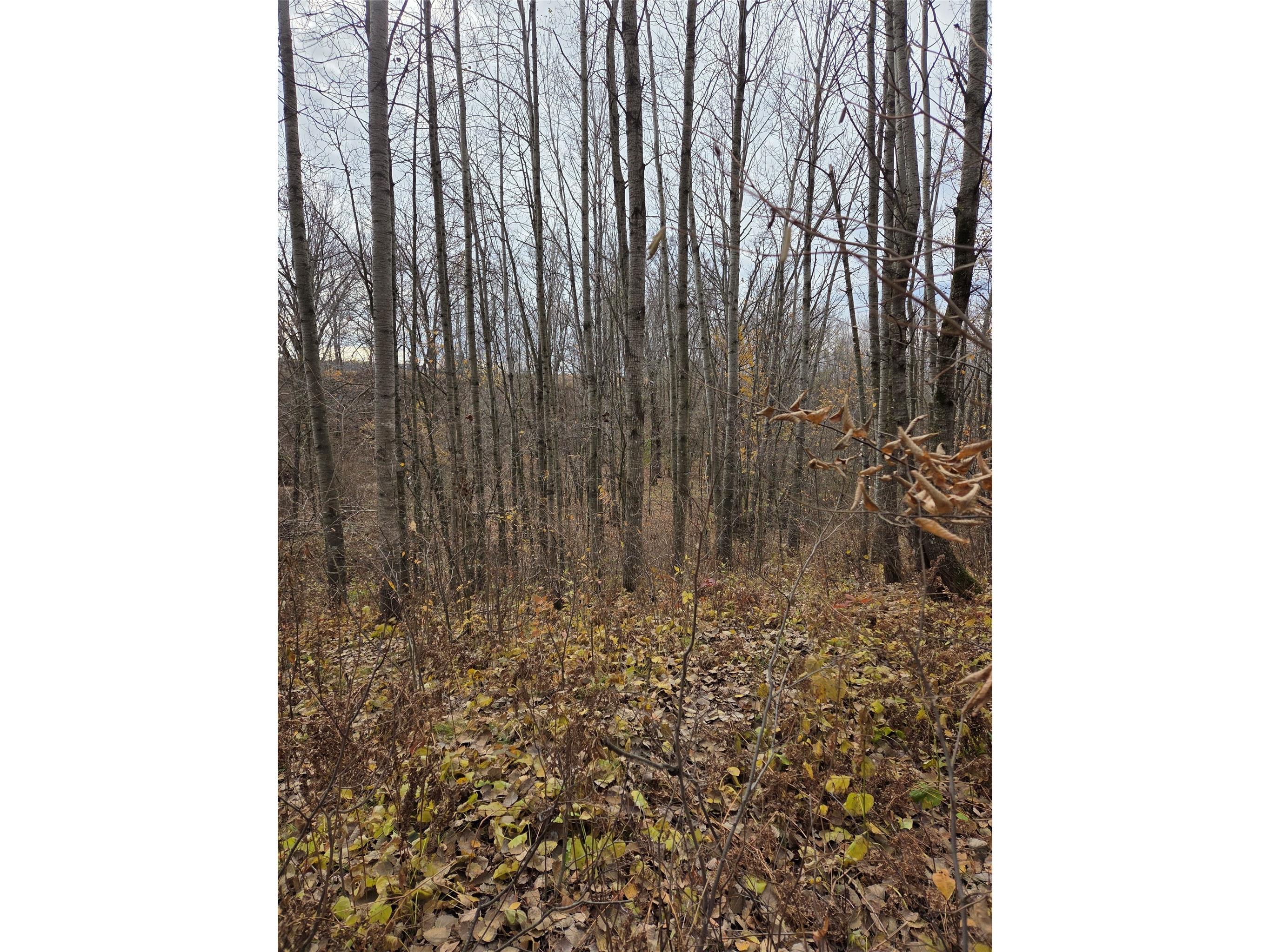 On Hwy 48 Rice Lake WI 54868 1599815 image3