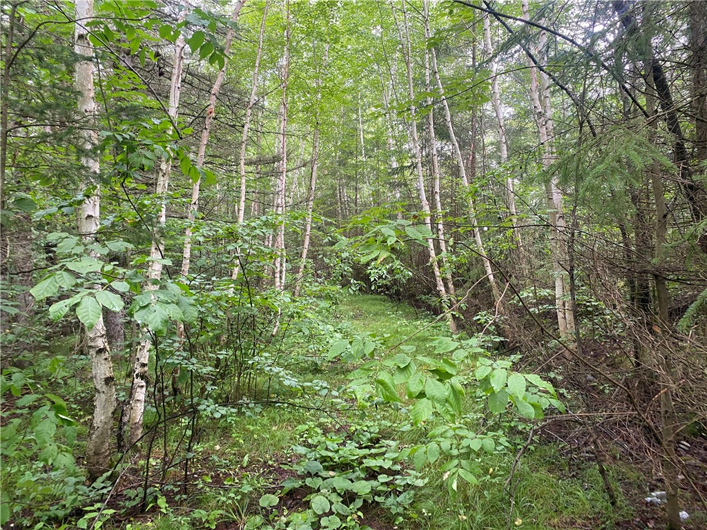 On Knowles Road Loretta WI 54896 1584858 image2