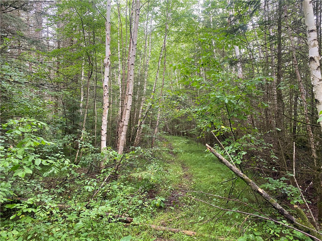 On Knowles Road Loretta WI 54896 1584858 image4